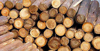 多雨季节，怎样防止木材发霉？