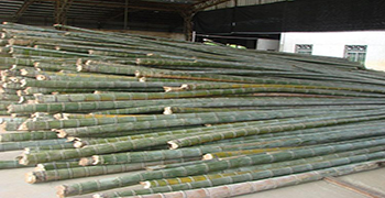 竹材的防霉方法你知道多少呢？