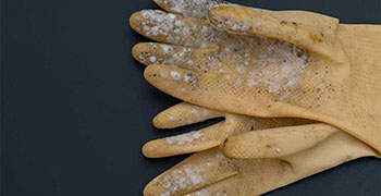 工厂一定要知道的塑胶手套防霉措施！